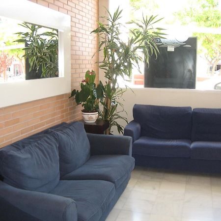 Hostal Madruga Elche Exteriér fotografie